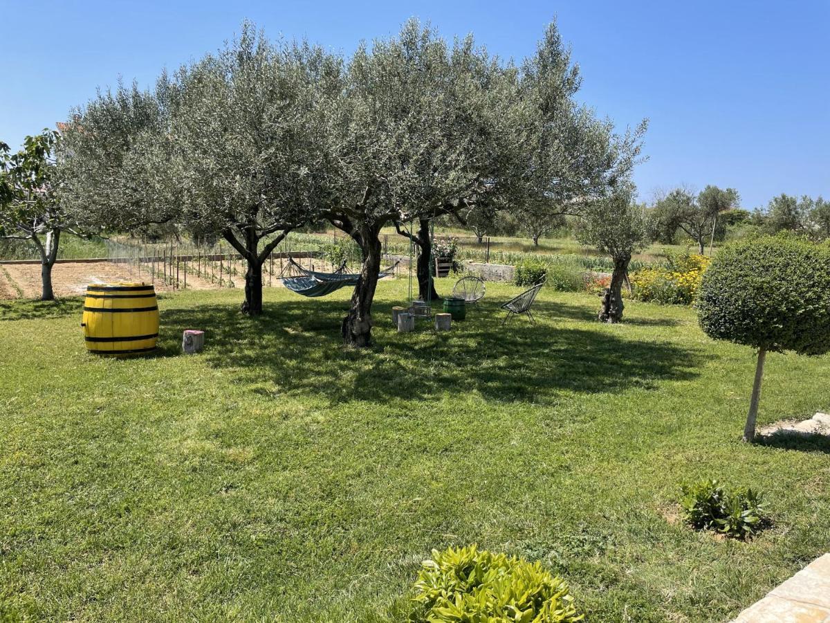 Bed&Breakfast Nada Privlaka (Zadar) Exterior foto